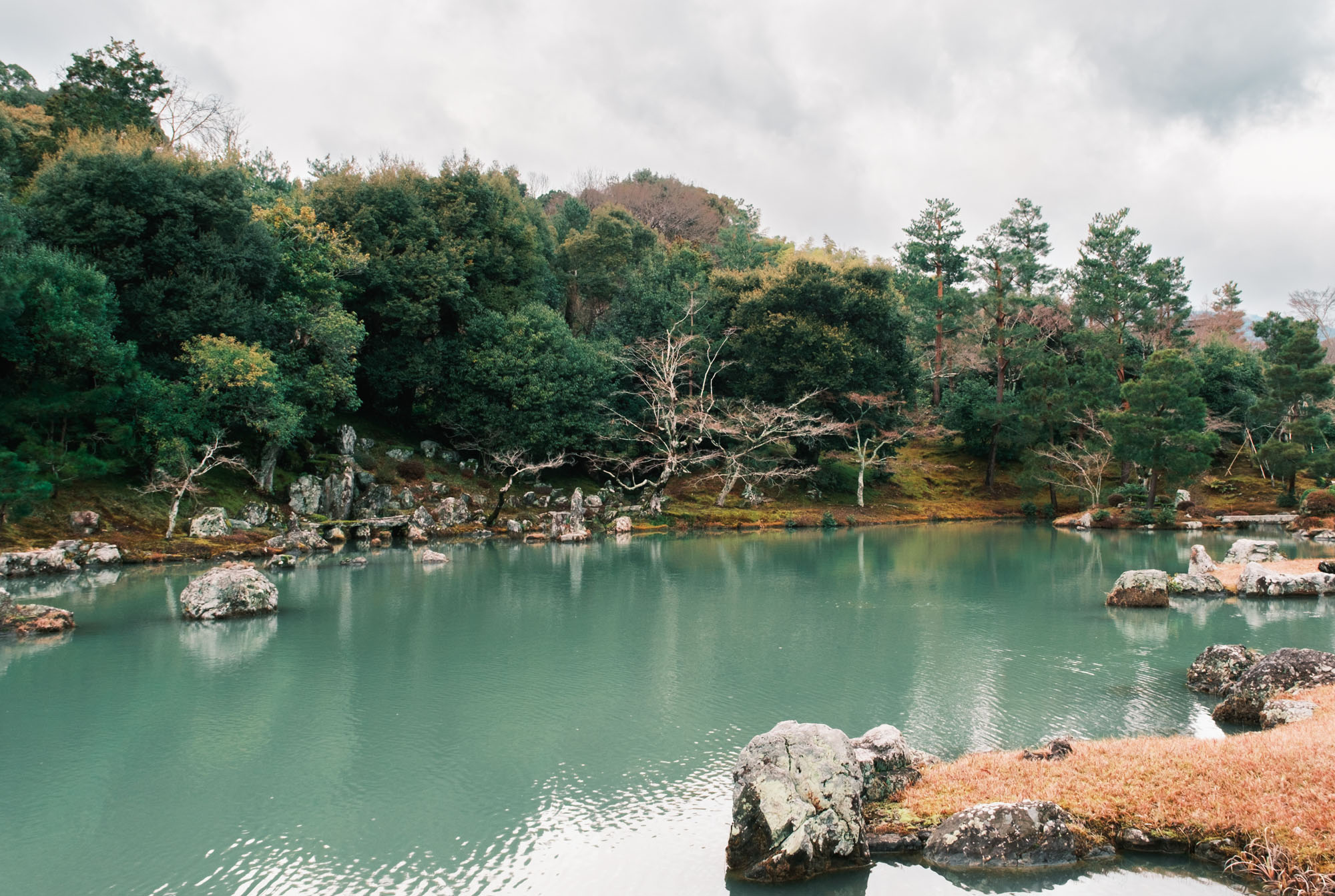 Tenryu-ji Garden