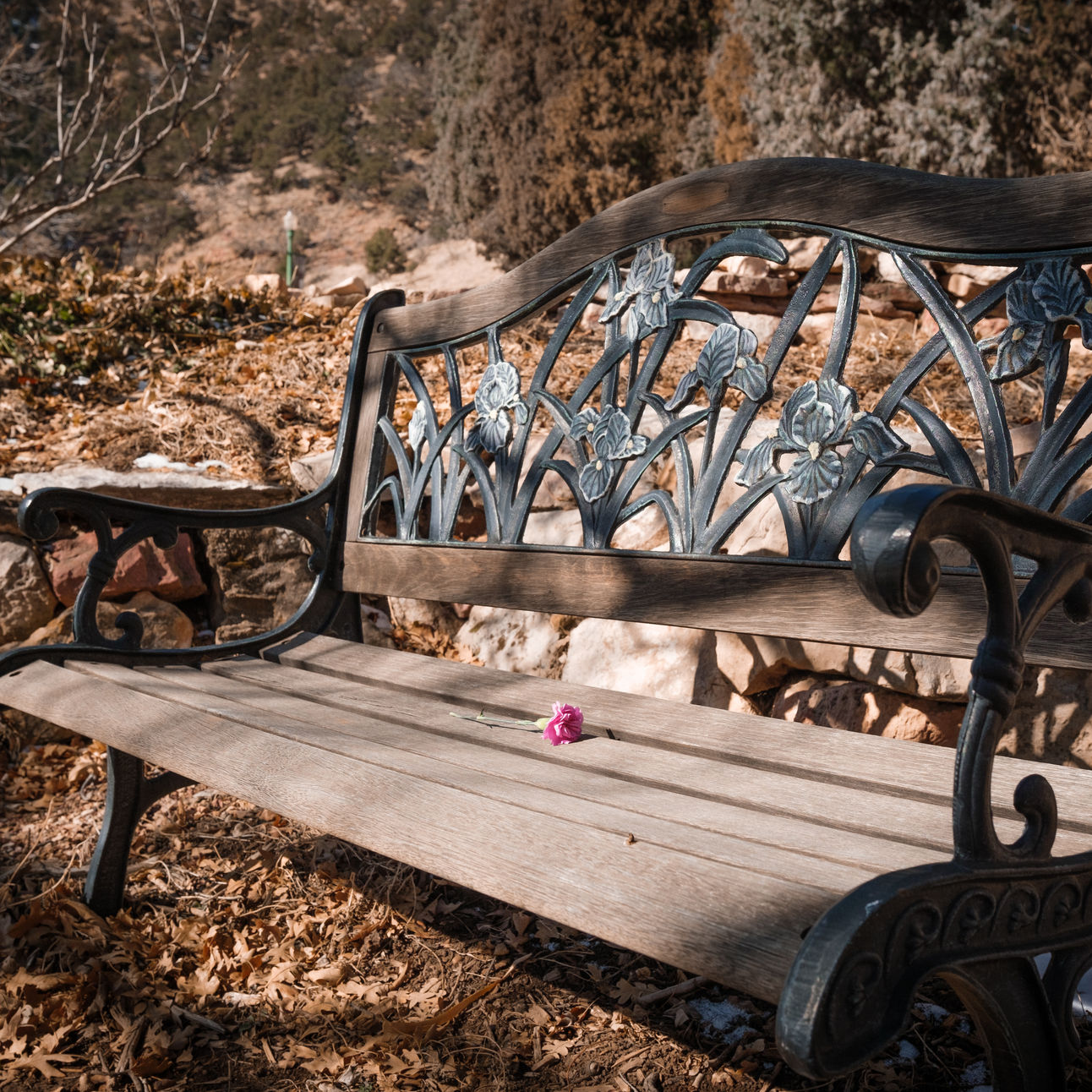 Colorado Springs Last Days