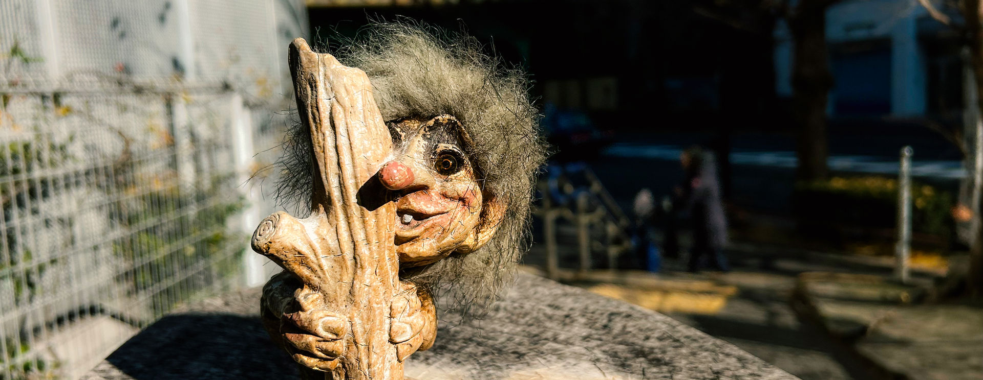 Japan 1/11/24 – 1/27/24