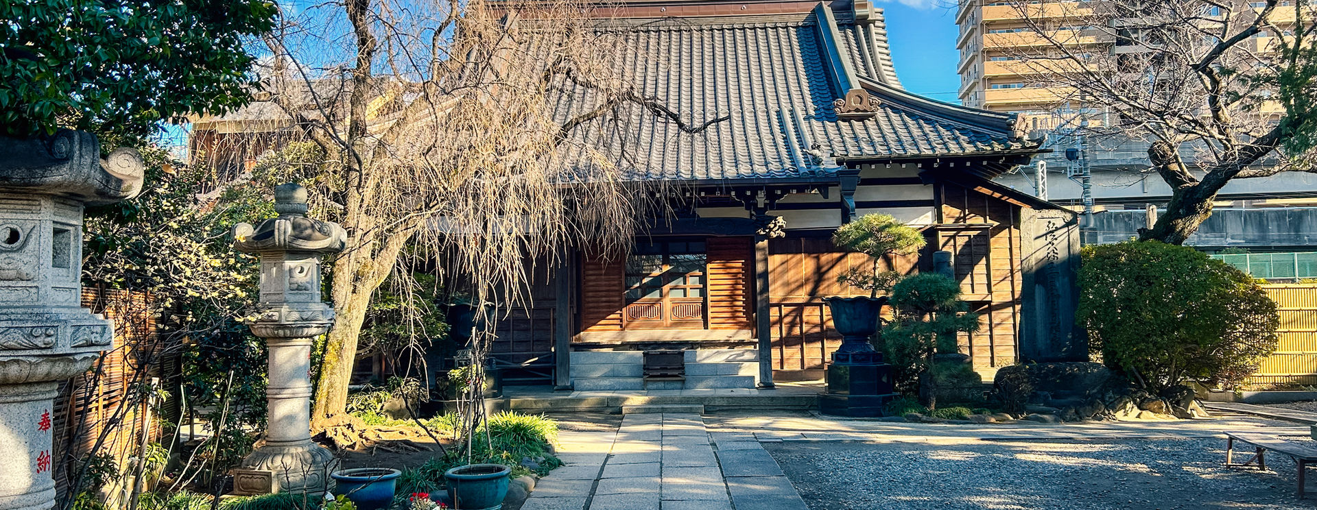 Japan 1/11/24 – 1/27/24