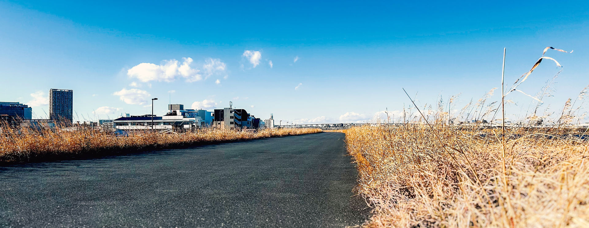 Japan 1/11/24 – 1/27/24