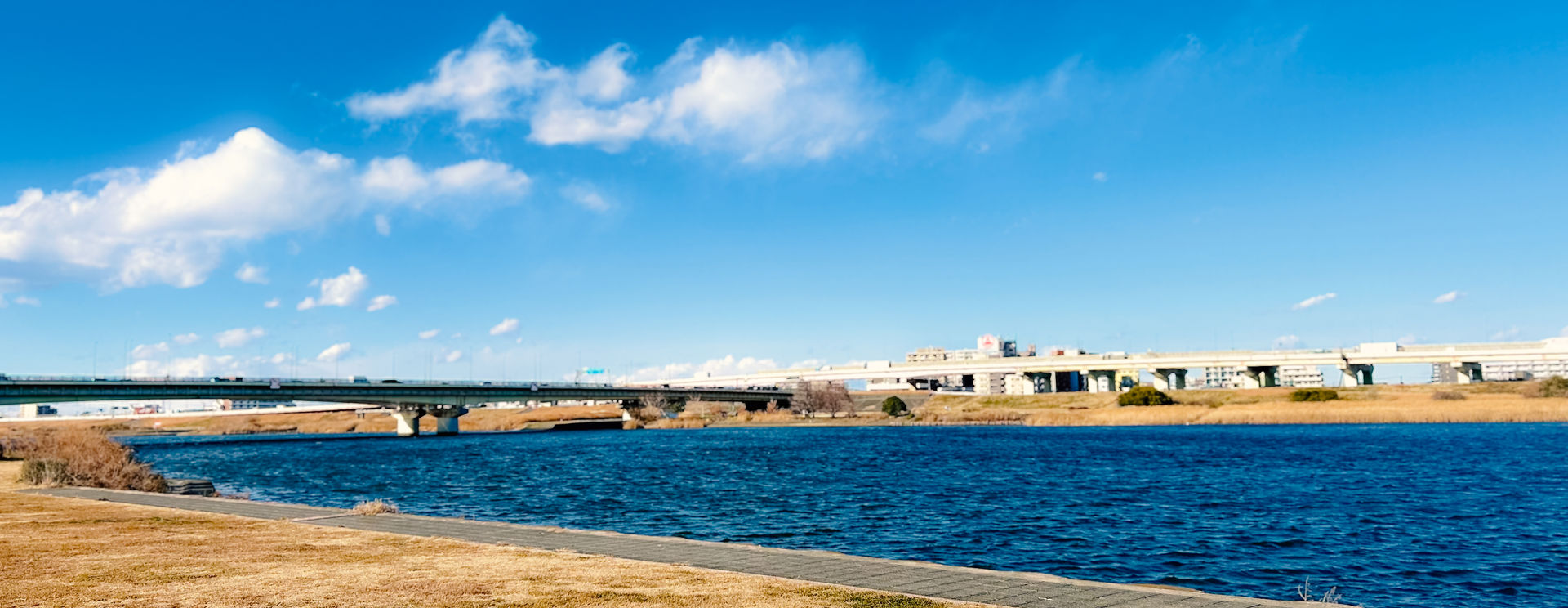 Japan 1/11/24 – 1/27/24