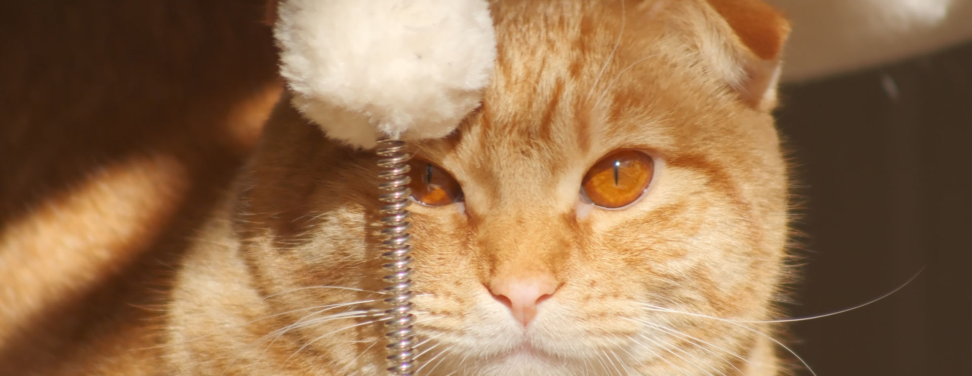 Kit Canon EF Lens on the Fuji X-T4