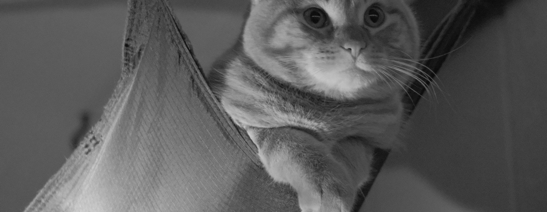 Kit Canon EF Lens on the Fuji X-T4