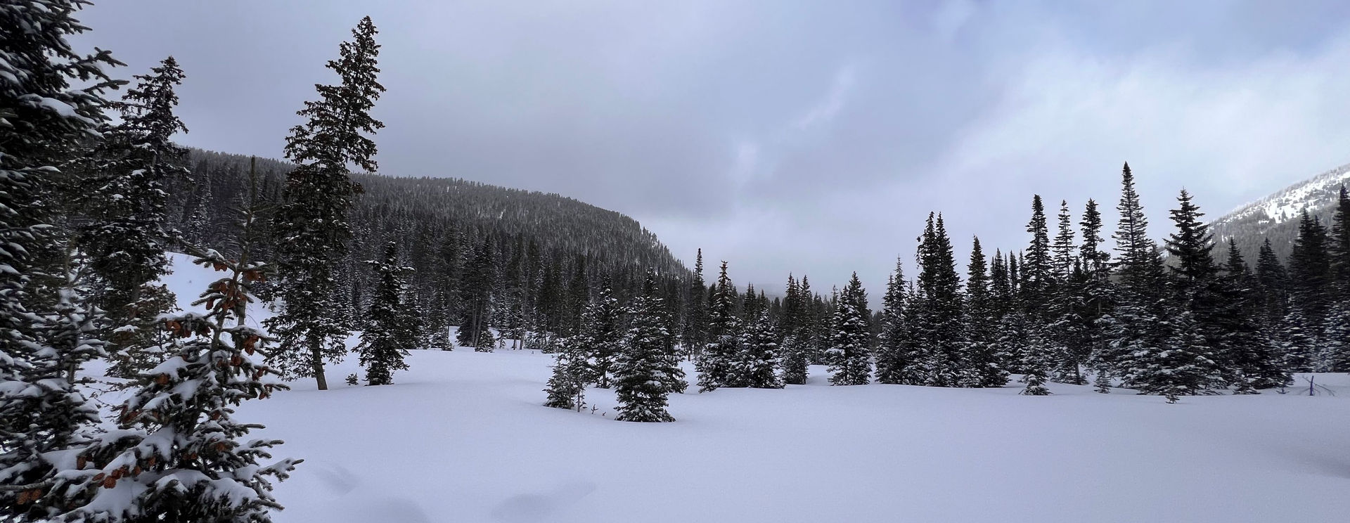 Monarch Park Snowmobiling