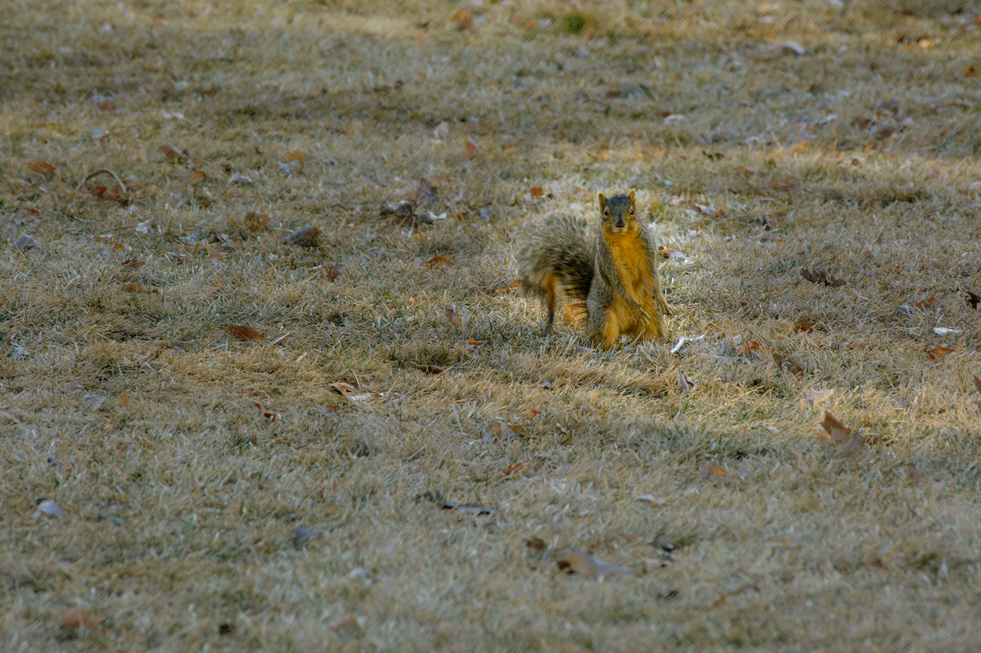 Post-Processing the Stragglers